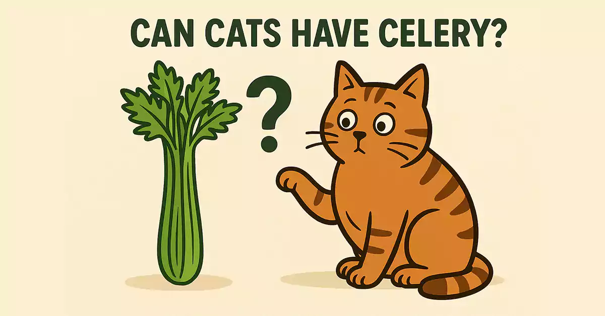 Can Cats Have Celery?