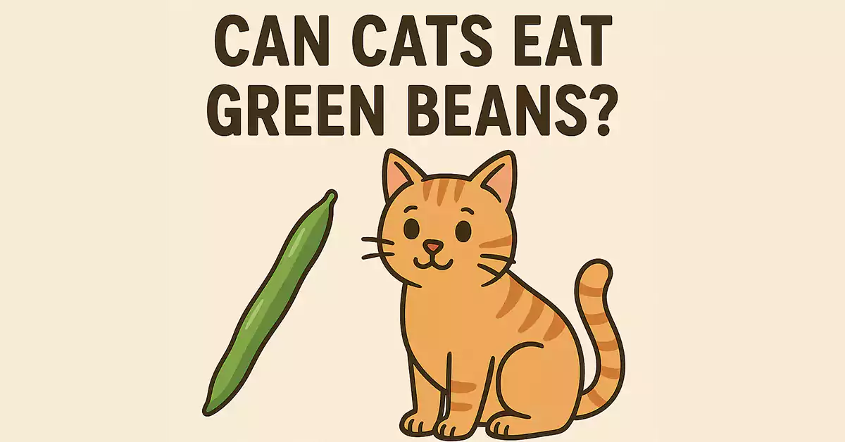 Can Cats Eat Green Beans?