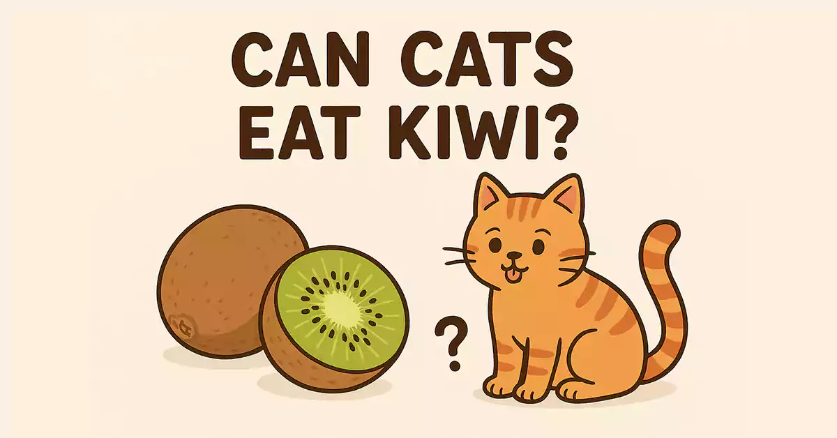 Can Cats Eat Kiwi?