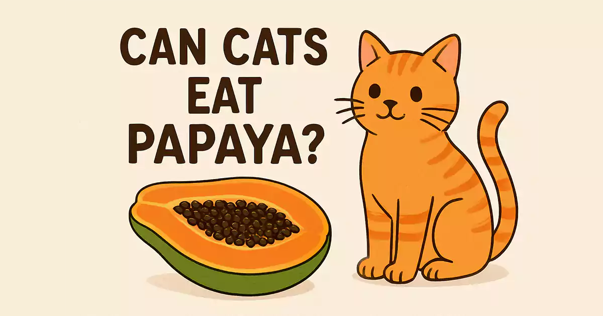 Can Cats Eat Papaya?