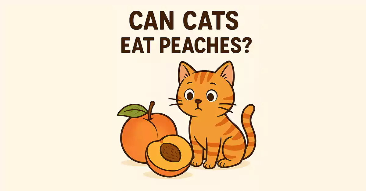 Can Cats Eat Peaches?