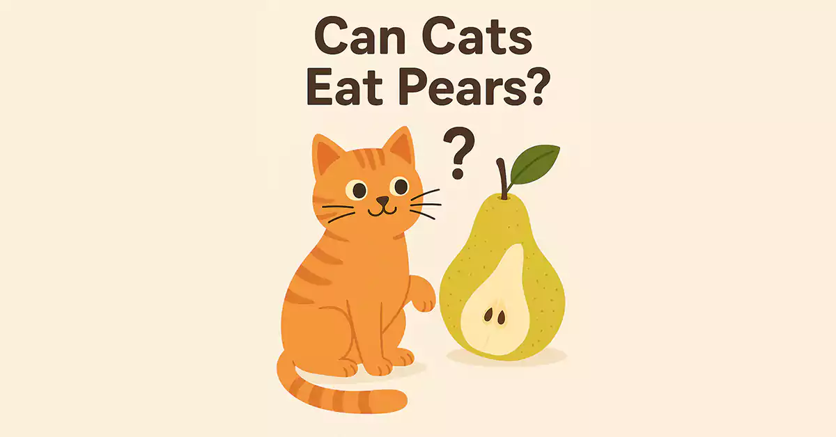 Can Cats Eat Pears?