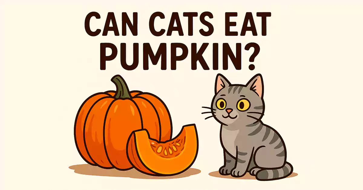 Can Cats Eat Pumpkin?