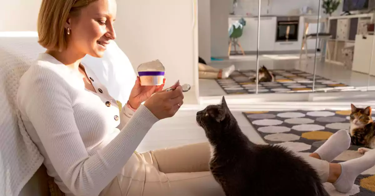 Can Cats Eat Yogurt?