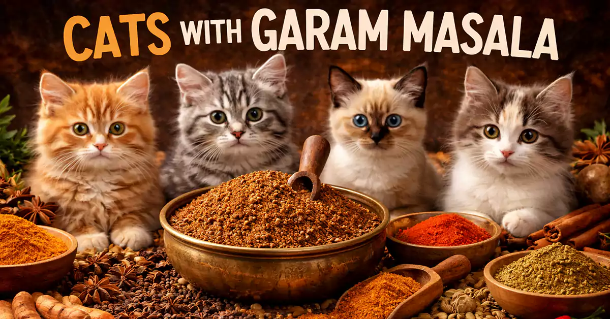 Can Cats Eat Garam Masala
