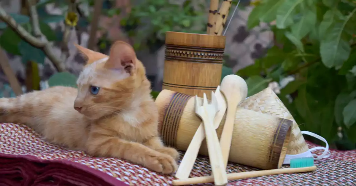 Is Bamboo Safe for Cats?